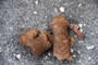 Bild 6/7: Relativ frische Hundewurst, Fussgngerzone 