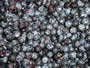Bild 1/3: Schwarz-oder Blaubeeren 