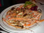 Bild 120/167: Scampi gegrillt, geeignet 
