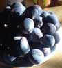 Bild 19/167: Blaue Feigen, geeignet 