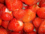 Bild 43/167: Erdbeeren, geeignet 
