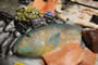 Bild 47/167: Fisch ist empehlenswert 