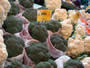 Bild 64/167: Grnweisser Blumenkohl, geeignet 