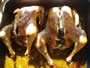 Bild 69/167: Huhn, auch paarweise, geeignet 